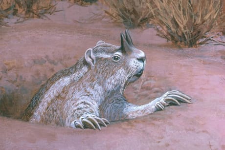 Horned Gophers roamed North American the last time CO2 was ~400 ppm. Luckily they did not disturb any HOA's